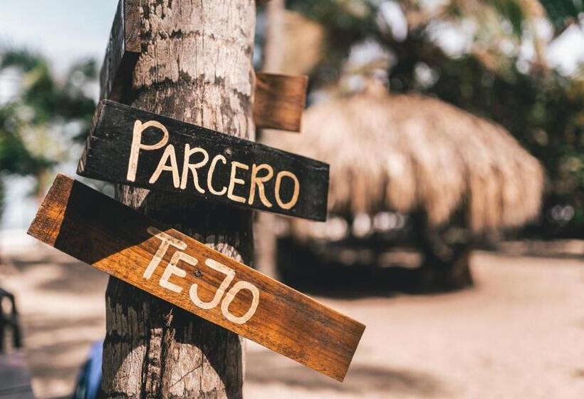 Общежитие Los Hermanos Beach Hostal