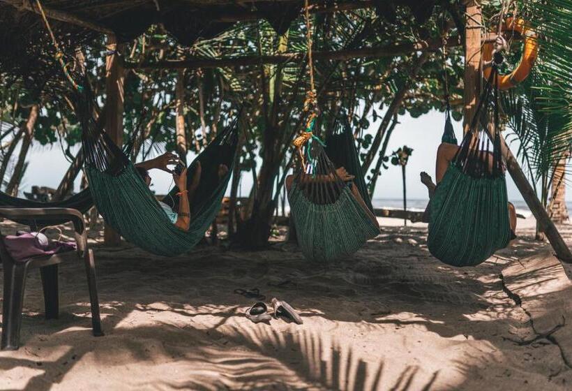 Общежитие Los Hermanos Beach Hostal