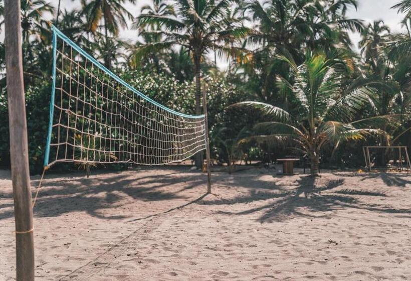 Общежитие Los Hermanos Beach Hostal