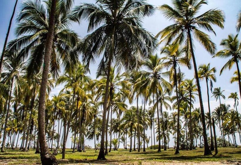 Общежитие Los Hermanos Beach Hostal