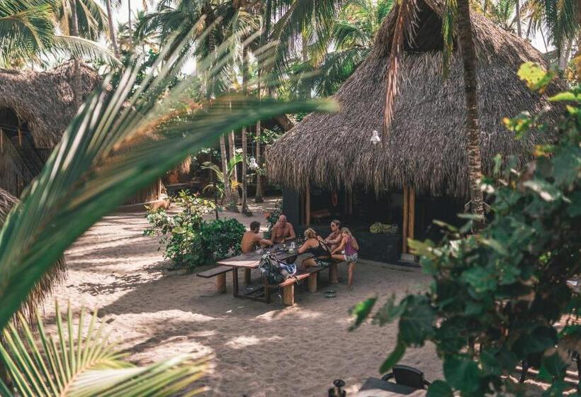 Общежитие Los Hermanos Beach Hostal