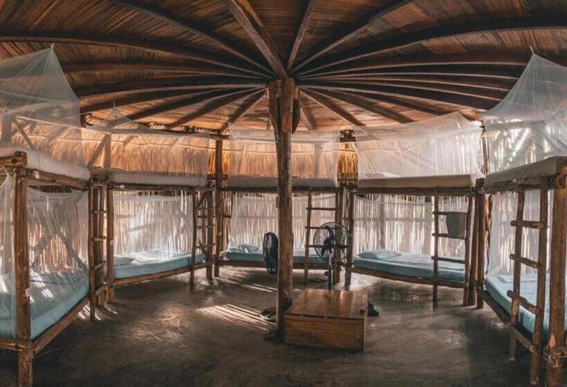 Общежитие Los Hermanos Beach Hostal