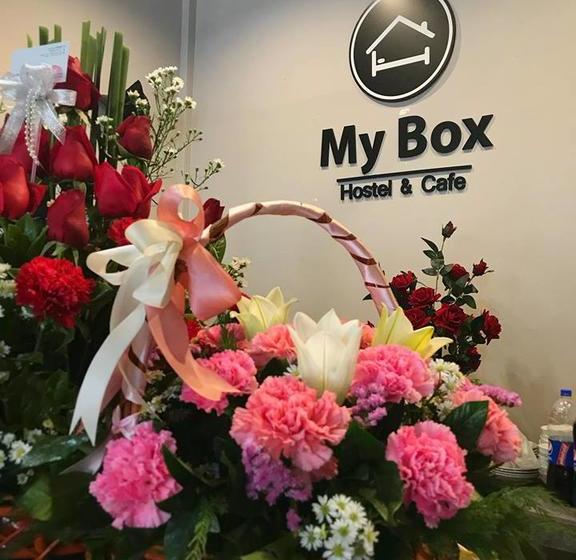 My Box Hostel & Cafe