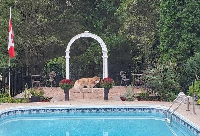 مبيت وإفطار Avonview Manor