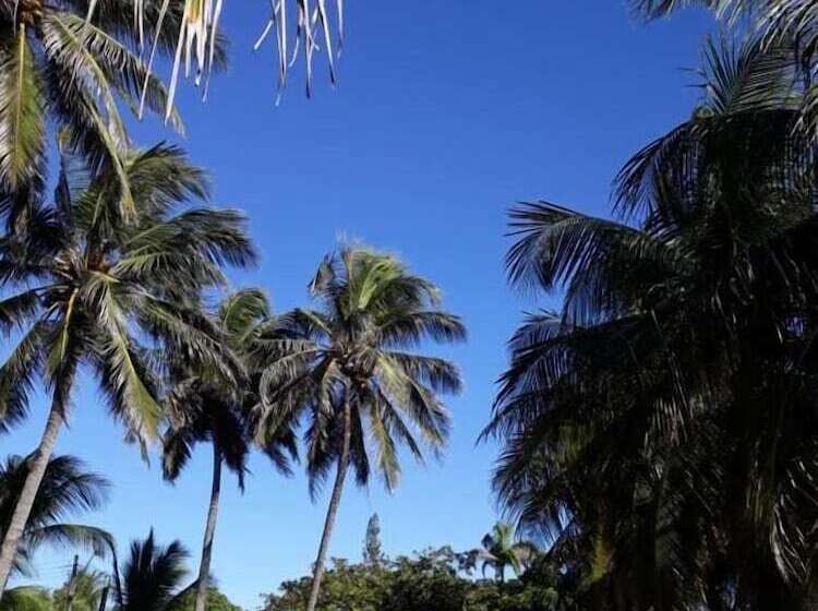 مبيت وإفطار Casa Ceara