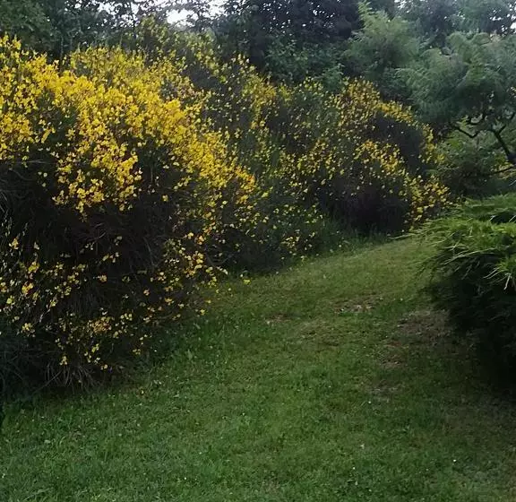 تختخواب و صبحانه Casa Fiorita