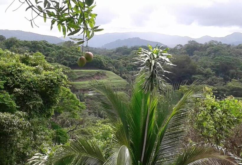 تختخواب و صبحانه El Nido Rojo