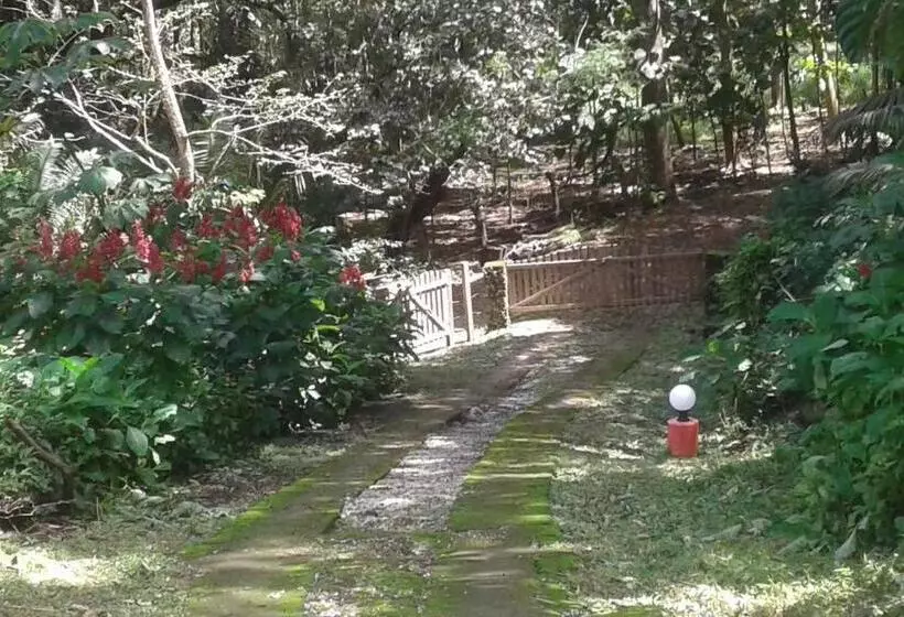 تختخواب و صبحانه El Nido Rojo