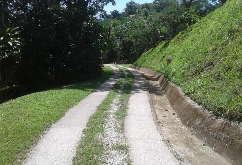 تختخواب و صبحانه El Nido Rojo