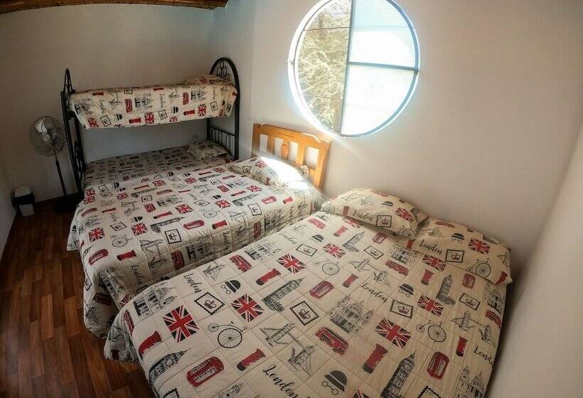 Hostel Mr. Llama Lodge