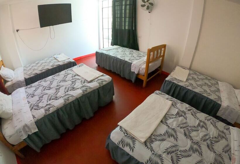 Hostel Mr. Llama Lodge