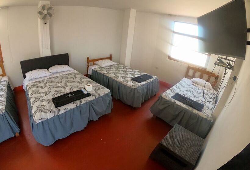 Hostel Mr. Llama Lodge