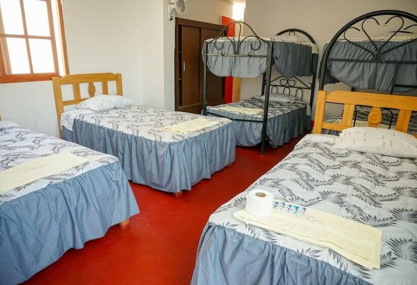 Hostel Mr. Llama Lodge