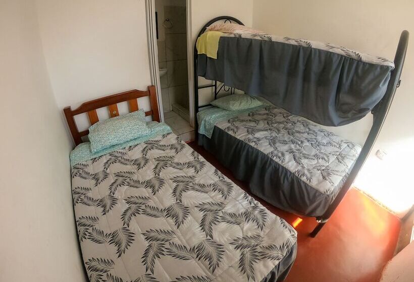 Hostel Mr. Llama Lodge