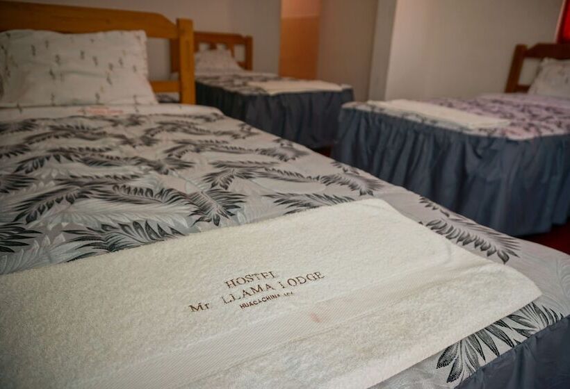 Hostel Mr. Llama Lodge