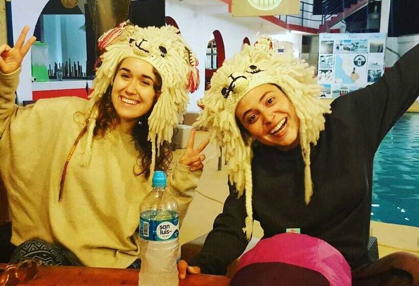 Hostel Mr. Llama Lodge