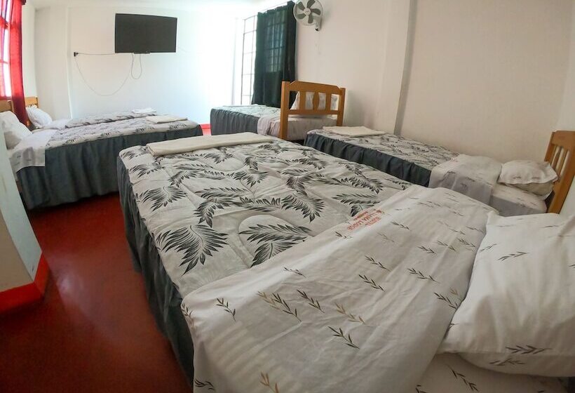 Hostel Mr. Llama Lodge