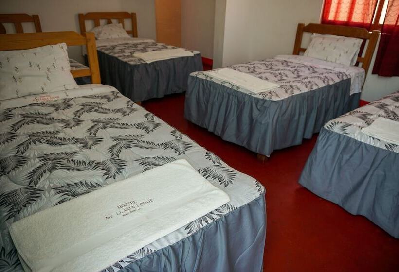 Hostel Mr. Llama Lodge