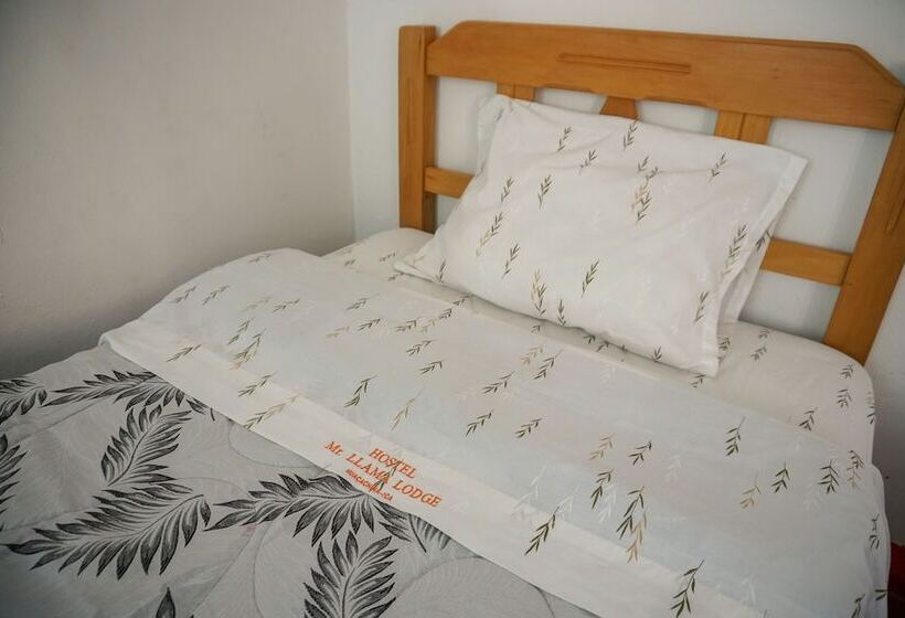 Hostel Mr. Llama Lodge
