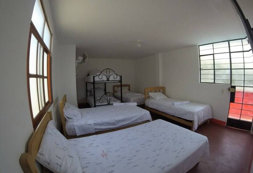 Hostel Mr. Llama Lodge