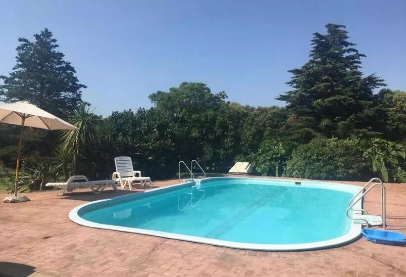 Hotelli Del Prado