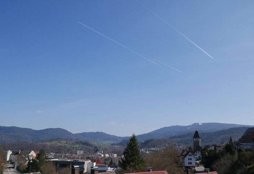 酒店 & Muhlenapartments