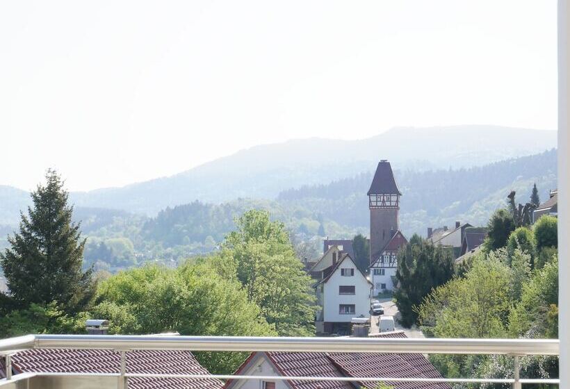 酒店 & Muhlenapartments