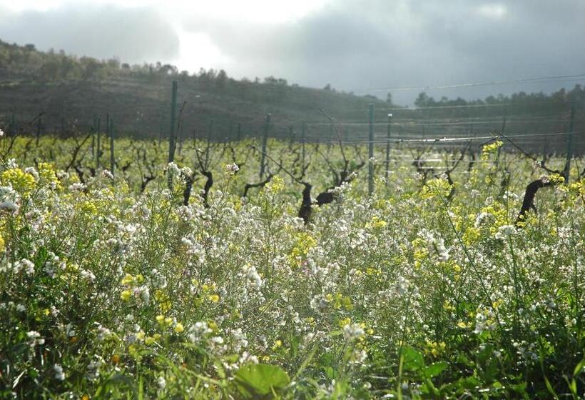 منتجع Tenute Baglio Passofondo