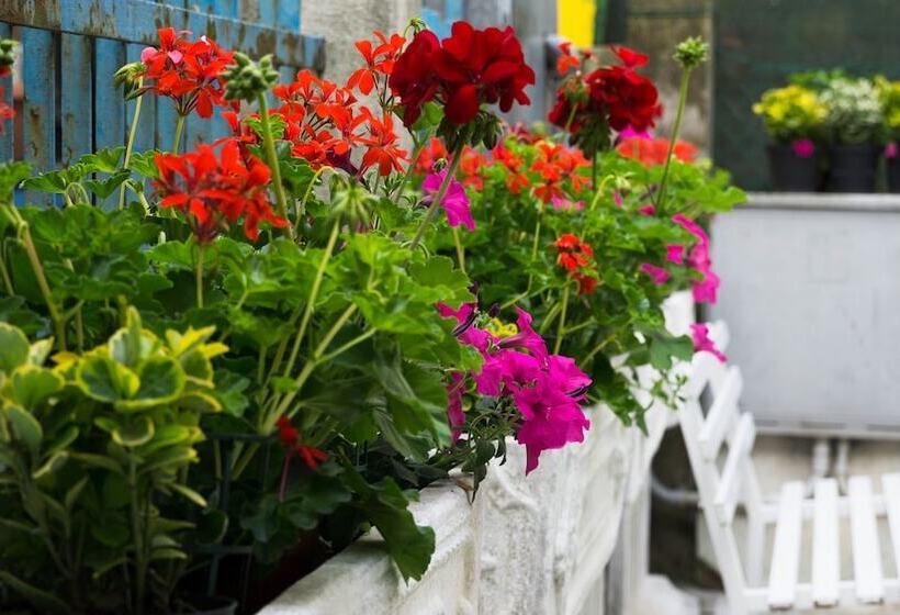 تختخواب و صبحانه Giovanna Rooms