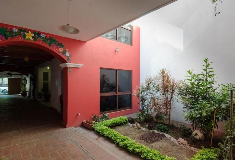 Comala Bed & Breakfast