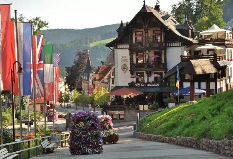 Hotel Pfaff Gmbh