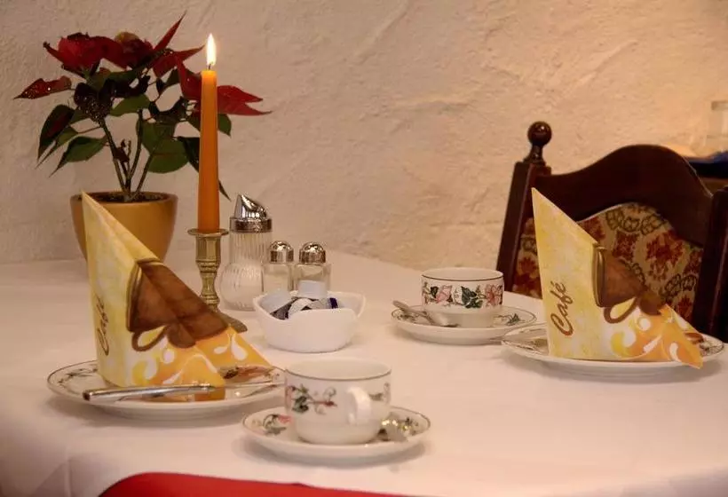 Hotel Pfaff Gmbh