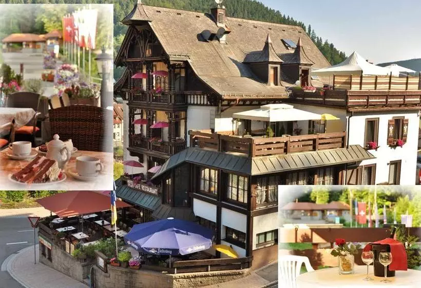 Hotel Pfaff Gmbh