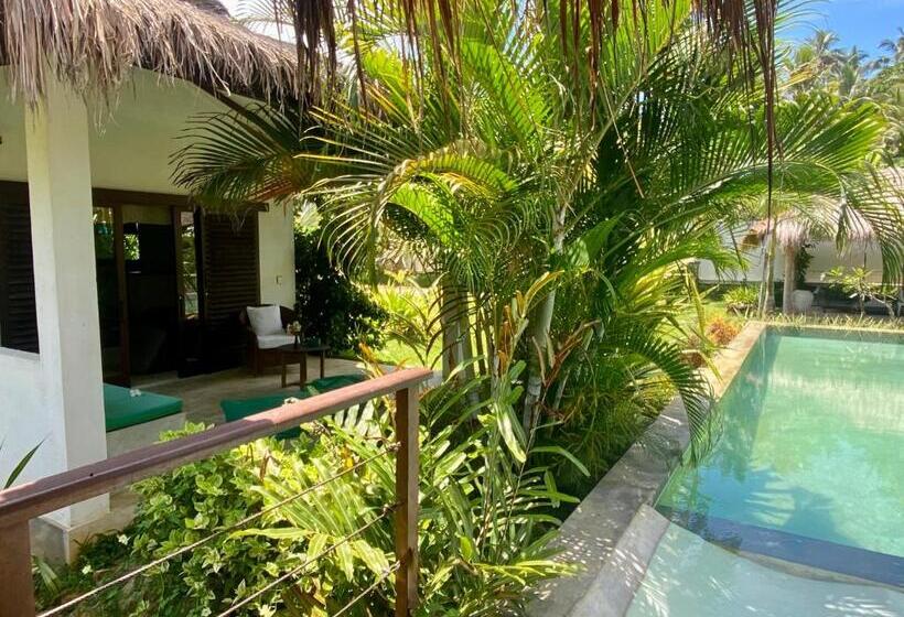 酒店 Vanina Villas