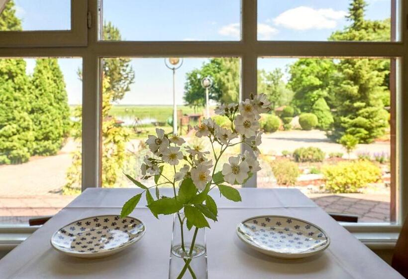 אתר נופש Bartlowizna Serce Biebrzy Noclegi