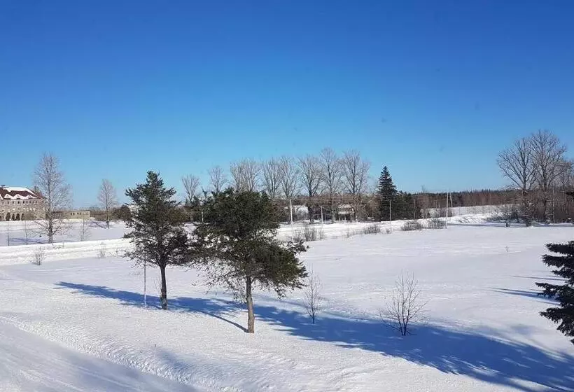 ユースホステル Domaine St Viateur