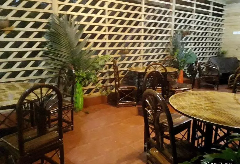 تختخواب و صبحانه Forest Lodge