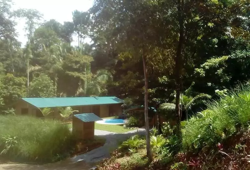 تختخواب و صبحانه Forest Lodge
