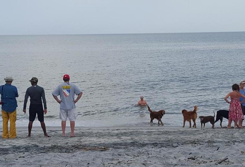 צימר Pink Palace Panama