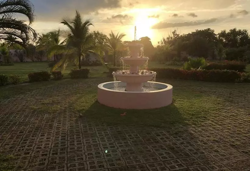 ベッドアンドブレックファースト Pink Palace Panama