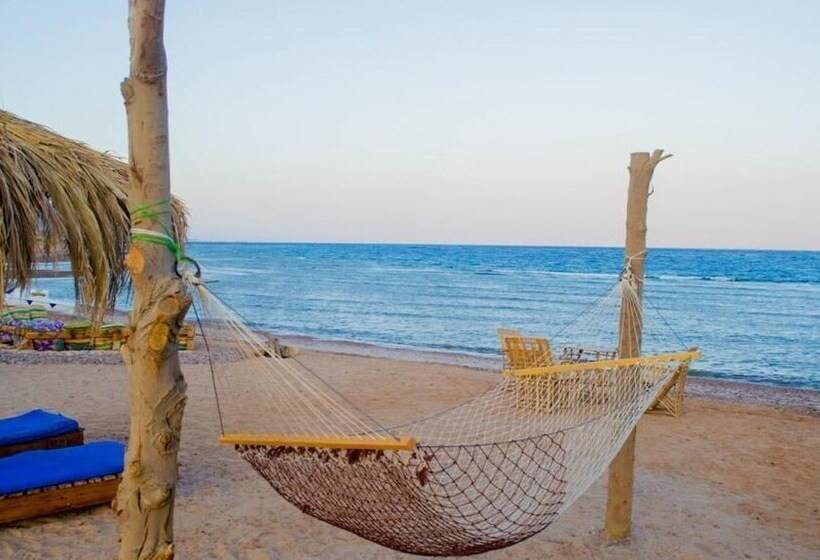 Wishwashi Camp & Resort