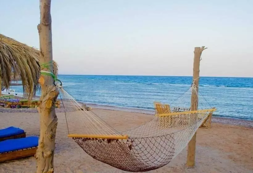 Wishwashi Camp & Resort