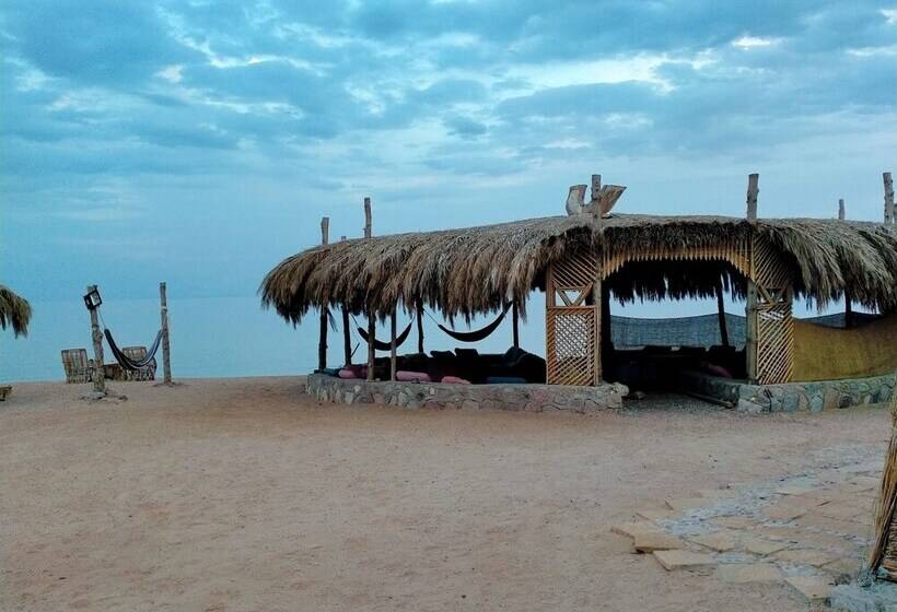 Wishwashi Camp & Resort