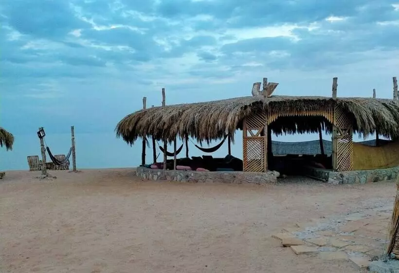 Wishwashi Camp & Resort