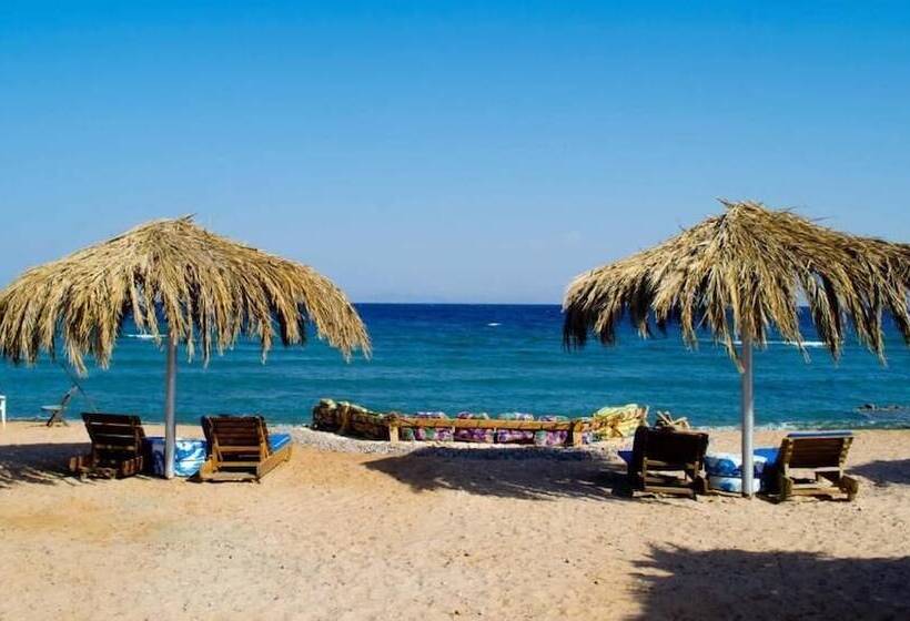 Wishwashi Camp & Resort