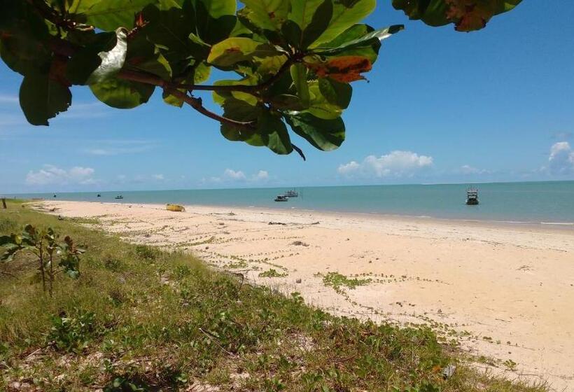 旅馆 Abrolhos Dive Inn