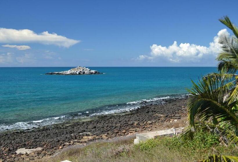 旅馆 Abrolhos Dive Inn