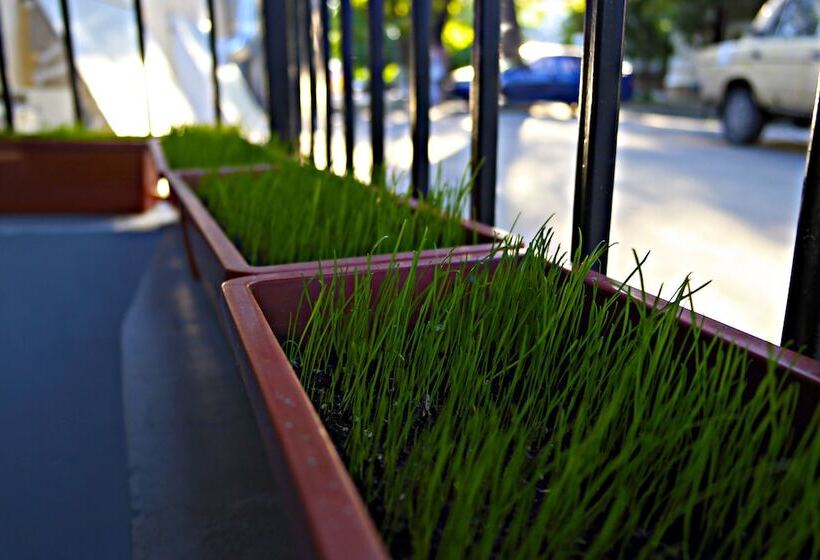 هاستل Day & Night