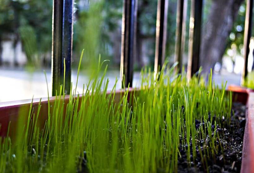 هاستل Day & Night