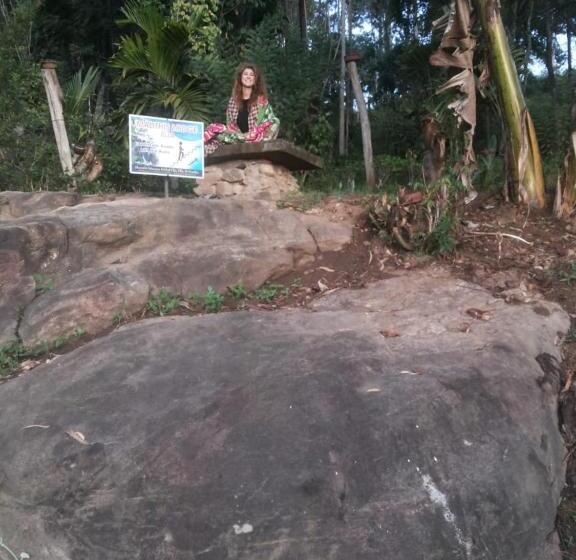 Bed and Breakfast Malithis Lodge